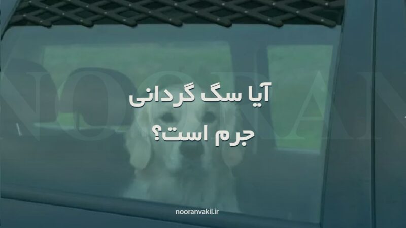 آیا عمل سگ گردانی در معابر عمومی که در این ایام بسیار رواج یافته است جرم است؟